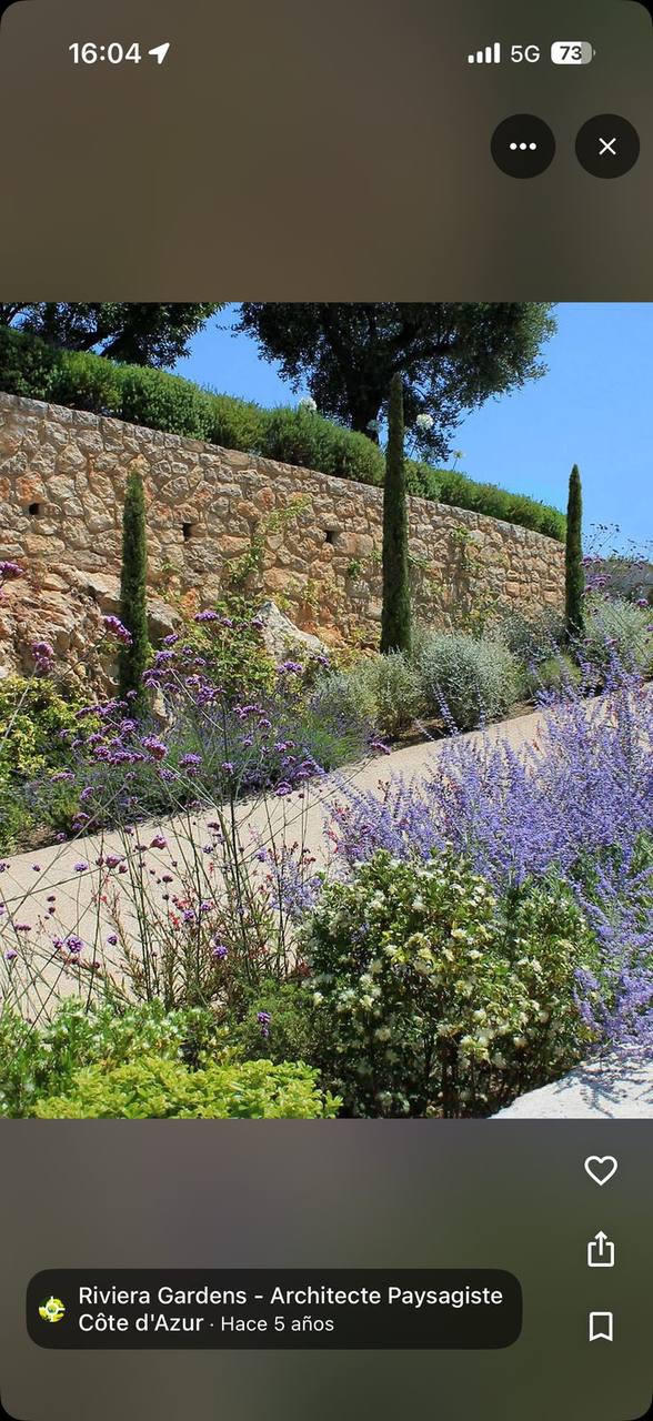 Jardinero de Jardines de Ibiza recortando un seto con cortasetos profesional en Ibiza
